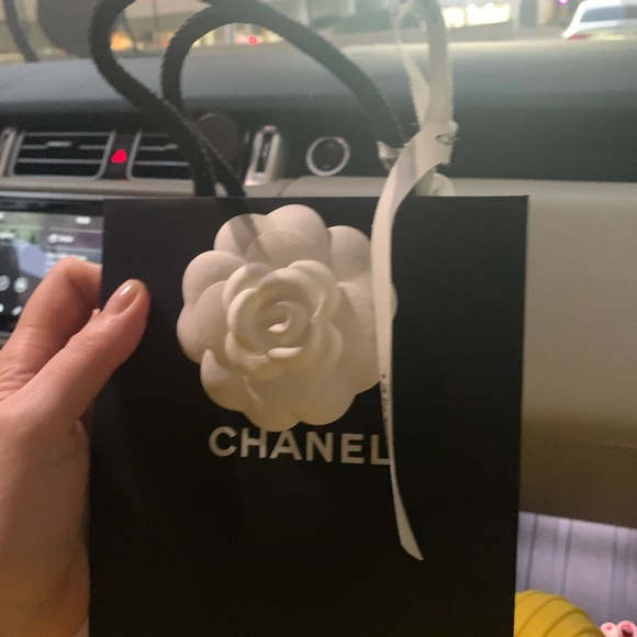 Brand new rare abd authentic Chanel shopping bag with bow , Chanel logo ribbon - Picture 2 of 9